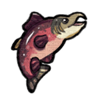 Sockeye Salmon - δωρεάν png