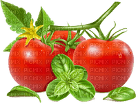 tomaten milla1959 - 免费PNG