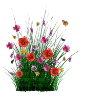 квіти - gratis png
