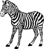 Kaz_Creations Zebra - png gratis
