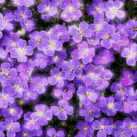 VanessaVallo _crea- flowers animated background - GIF เคลื่อนไหวฟรี