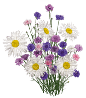 flowers - безплатен png