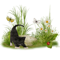 katt-gräs-----cat-and flowers - ilmainen png