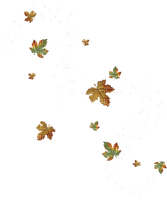 Kaz_Creations  Autumn Leaves Leafs Fall - zdarma png
