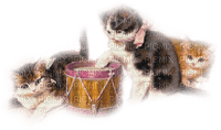 sweet kittens and drum, Joyful226, Connie - PNG gratuit