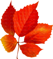 Leaf.Orange.Red.Yellow - Free PNG