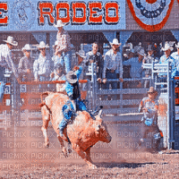 rodeo milla1959 - Darmowy animowany GIF