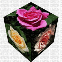 róże - Gratis geanimeerde GIF