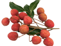 fruit lychee bp - PNG gratuit