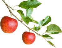 apfel apple milla1959 - PNG gratuit