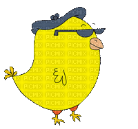 chicken - GIF animate gratis