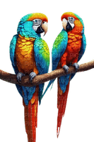 Pájaros- Rubicat - PNG gratuit