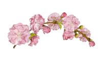pink flower - nemokama png