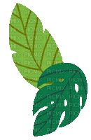 feuilles gif - Darmowy animowany GIF