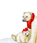 Mother and Baby Christmas Polar Bears - Free animated GIF
