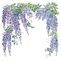 wisteria Bb2 - 免费PNG