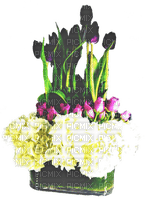 Flowers PNG - 無料png