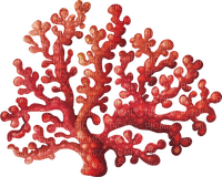 Coral-RM - ilmainen png
