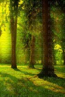 nature background - PNG gratuit