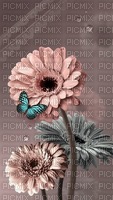 Flowers and Butterfly - nemokama png