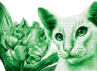 Y.A.M._Art Fantasy cat green - zadarmo png