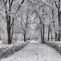 winter  background by nataliplus - Nemokamas animacinis gif