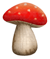 Kaz_Creations  Mushrooms Mushroom - besplatni png
