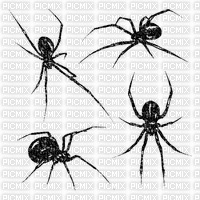 Sparkle Spider - darmowe png