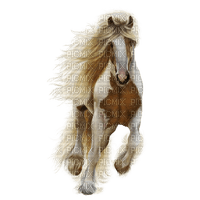 Horse. - PNG gratuit