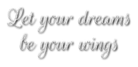 Let your dreams be your wings 🏵asuna.yuuki🏵 - ingyenes png
