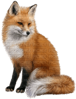 fox bp - ücretsiz png