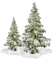 sapins hiver - 無料png