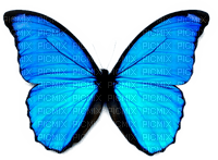 Kaz_Creations Deco Butterflies Butterfly Colours - 無料png
