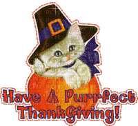 Have a perfect thanksgiving