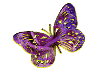 butterfly papillon schmetterling - Δωρεάν κινούμενο GIF