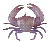 pink crab - gratis png