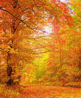 Autumn.Automne.Fond.Landscape.Victoriabea - Gratis animeret GIF
