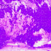 VE/ Bg. animated.winter.frozen.purple/pink.idca - GIF animado grátis