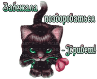 Y.A.M._Cat text - darmowe png