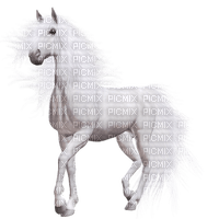 Kaz_Creations Animals Horses Horse - безплатен png