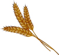 wheat Bb2 - бесплатно png