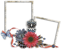 ClusterFrame Flowers Ribbon Owl Butterfly - PNG gratuit