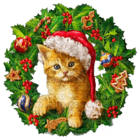 Y.A.M._New year Christmas cat - besplatni png