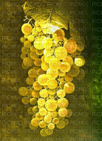 white grapes background - png gratis