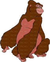 Tarzan milla1959 - PNG gratuit