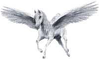 unicornio - darmowe png