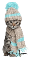 Winter.Cat.Chat.Hiver.Victoriabea - Free PNG
