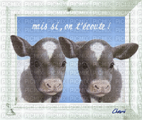 vache - GIF animado grátis