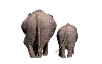 Elefanten - 免费PNG