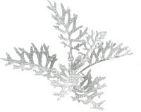 winter branch by nataliplus - безплатен png